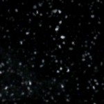 シエラブラックオーツ