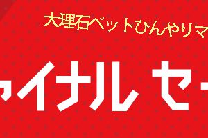 【楽天】売り切れてしまってごめんなさい(>_
