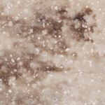 ヘーゼルナッツII ヘーゼルナッツII