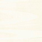 トレンテホワイト トレンテホワイト