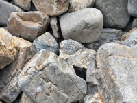 揖斐黒ゴロタ石延段100-200 揖斐黒ゴロタ石延段100-200