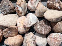 レッドマーブルコブル100-150 レッドマーブルコブル100-150