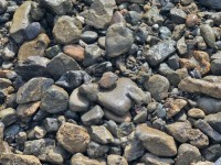 揖斐かわら石1-100 揖斐かわら石1-100